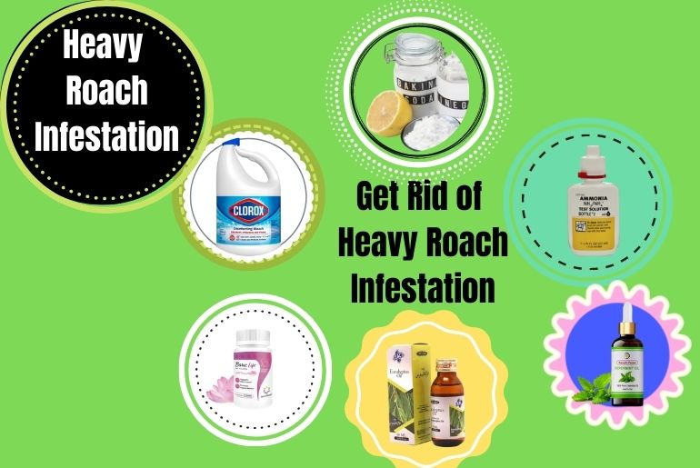 Get Rid of Heavy Roach Infestation