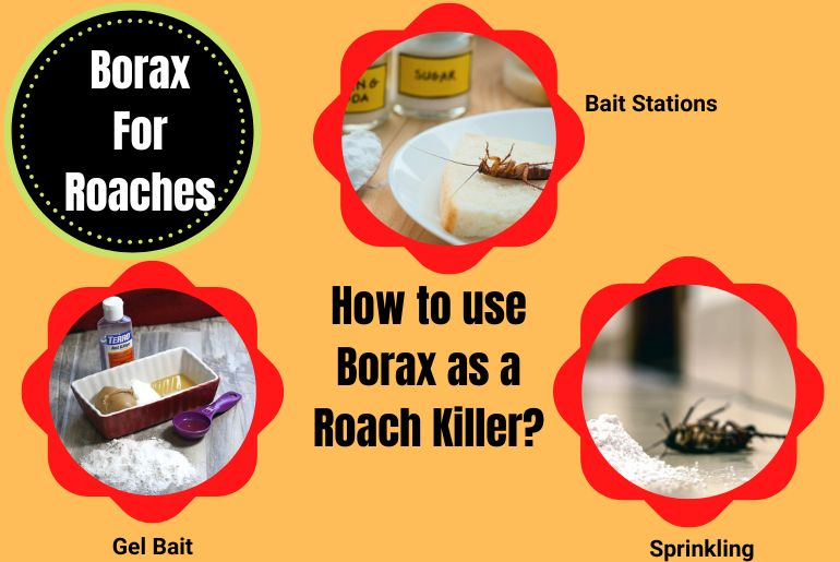How to use Borax as a Roach Killer