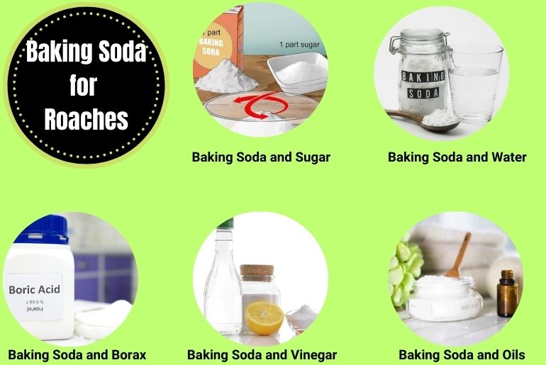How to use baking soda to kill cockroaches