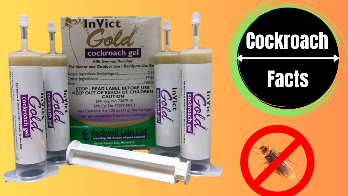 Invict Gold Cockroach Gel